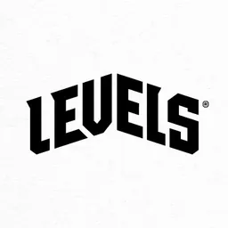 Levels logo