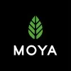 Moya Matcha logo