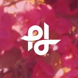 Popilush LLC logo