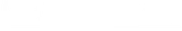 White Stuff logo